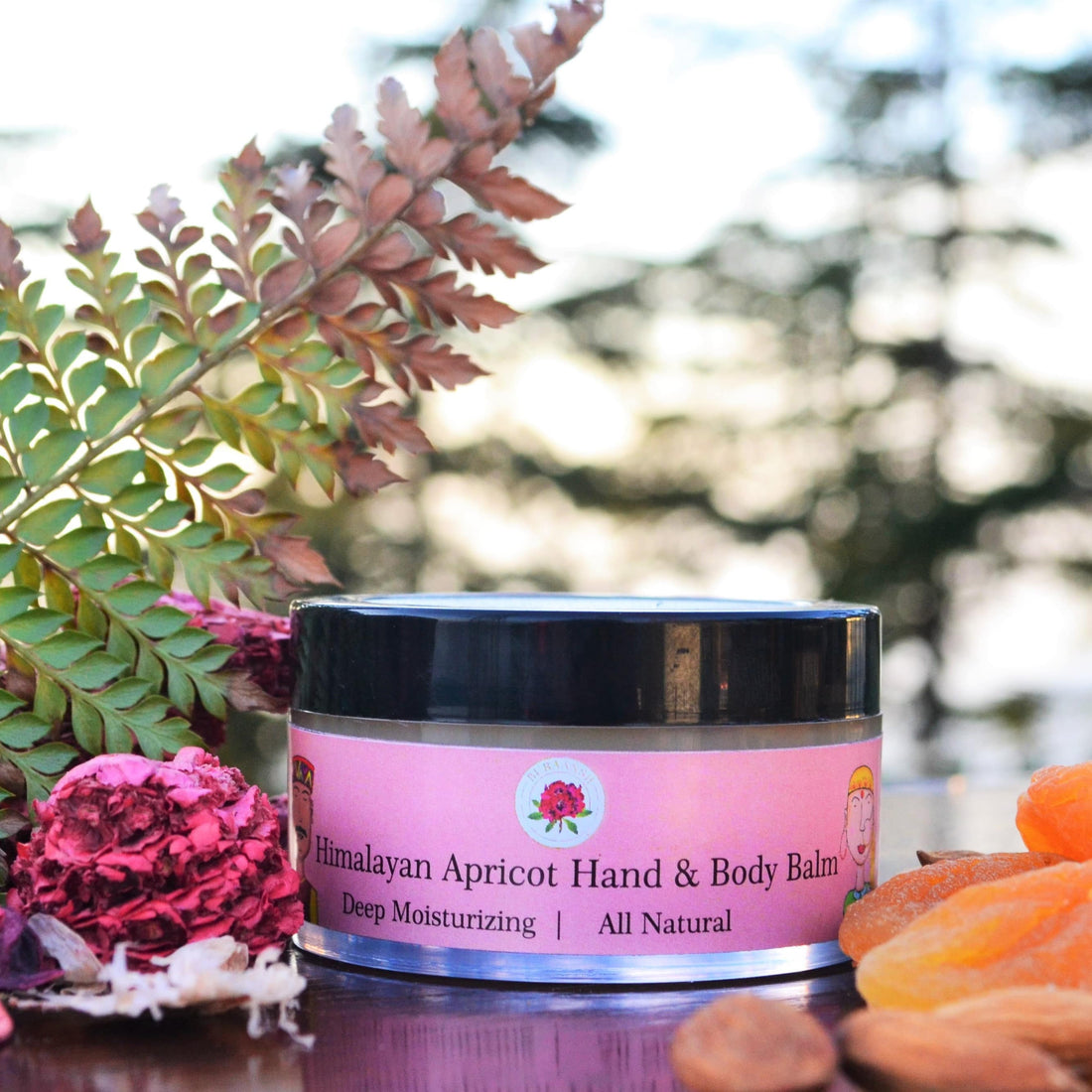 Himalayan Apricot Hand & Body Balm