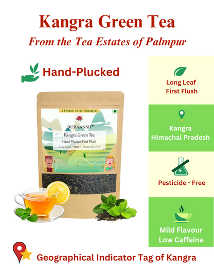 Kangra Green Tea is hand-plucked and is long leaf with low caffeine. 