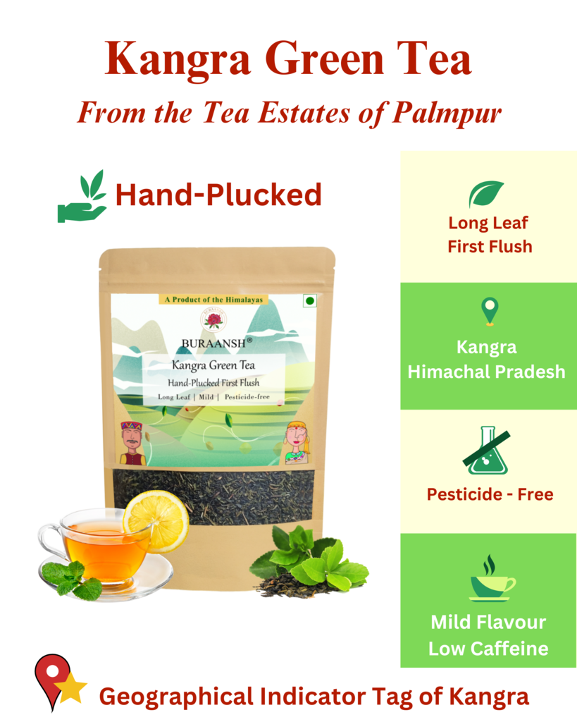 Benefits of Kangra Green Tea from the Mountains