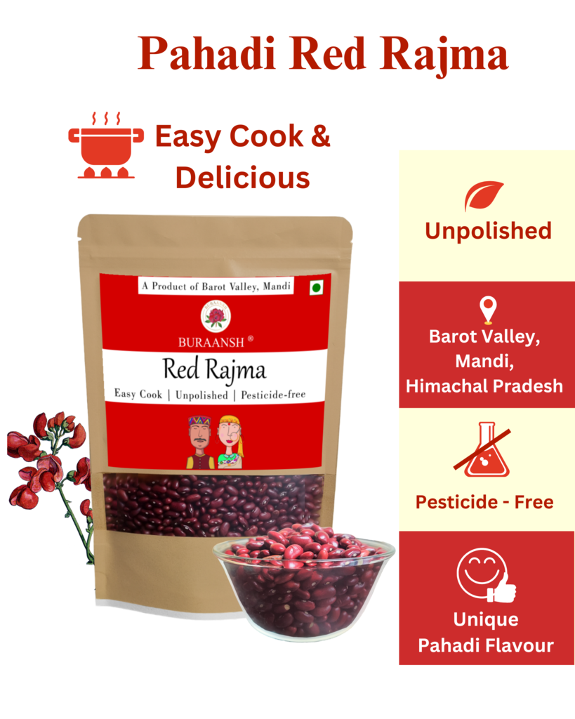 Easy Cook Unpolished Pesticide Free Red Rajma from Mandi