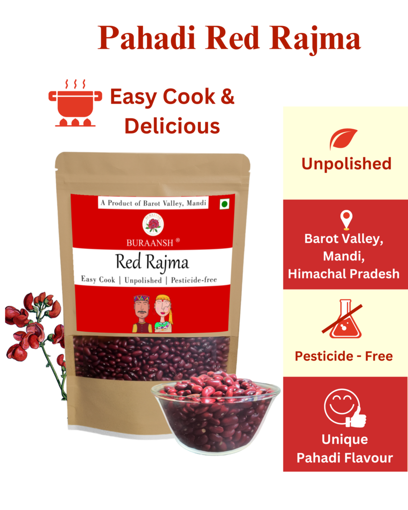 Red mountain on sale valley pressure canner