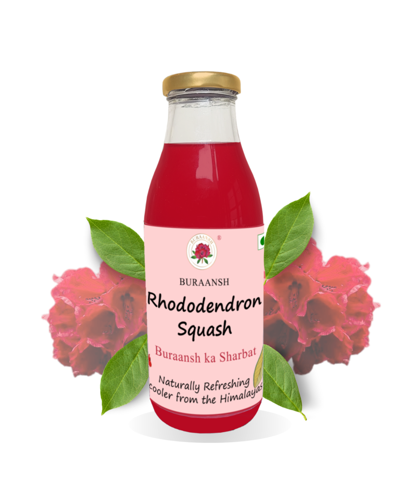 Rhododendron Buransh Squash