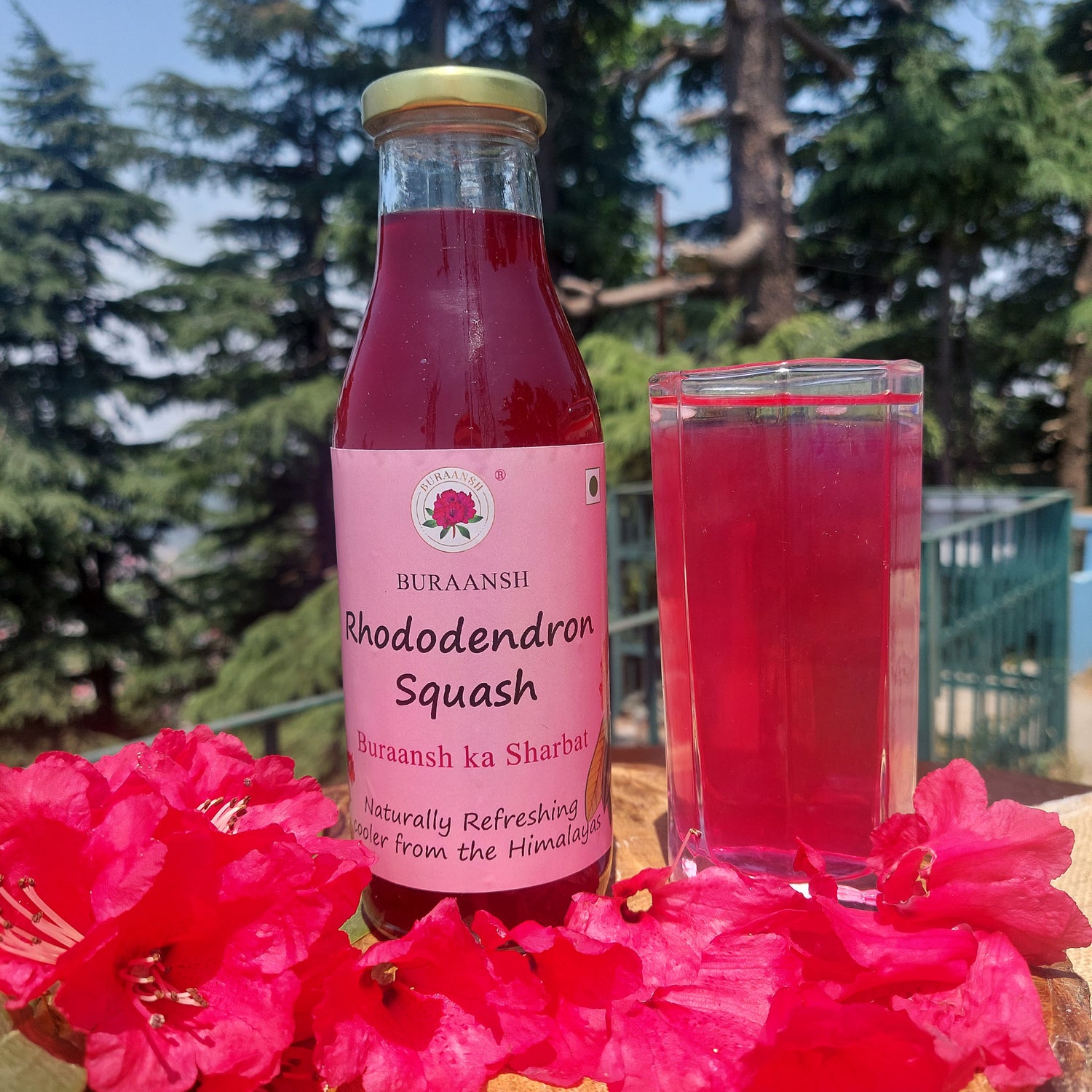 Buraansh squash has a unique taste and is naturally refreshing