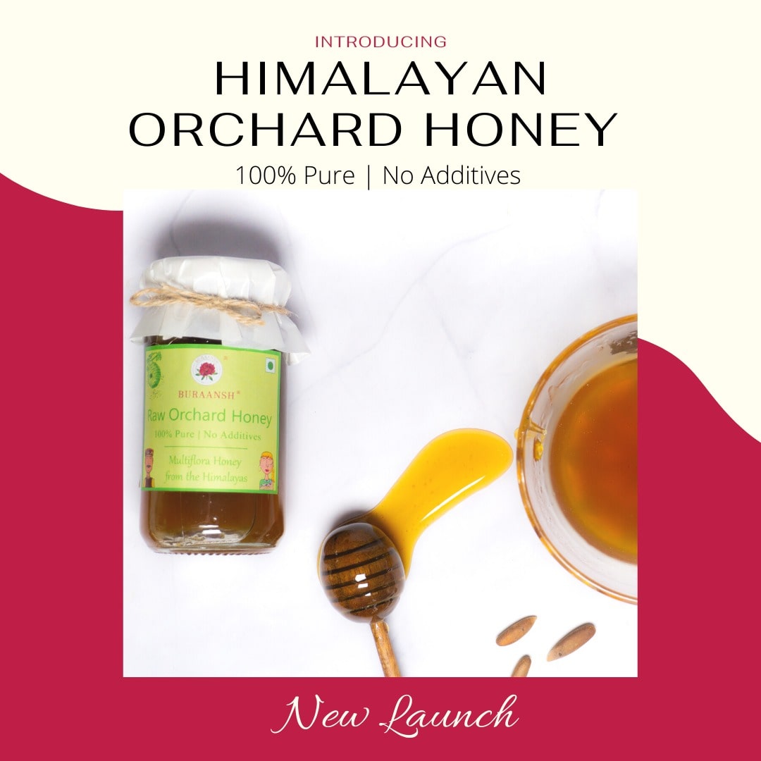 Honey for Gut Health: Raw Orchard Honey