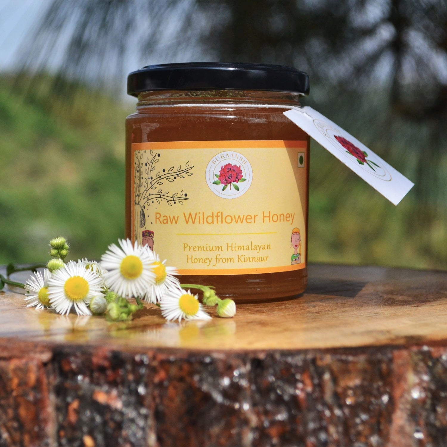 Immunity Boosting: Raw Wildflower Honey